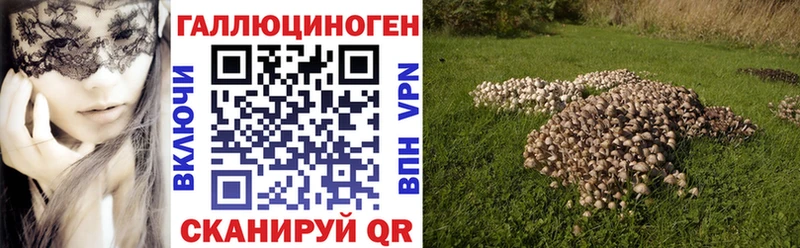 купить закладку  Нефтегорск  Галлюциногенные грибы мицелий 